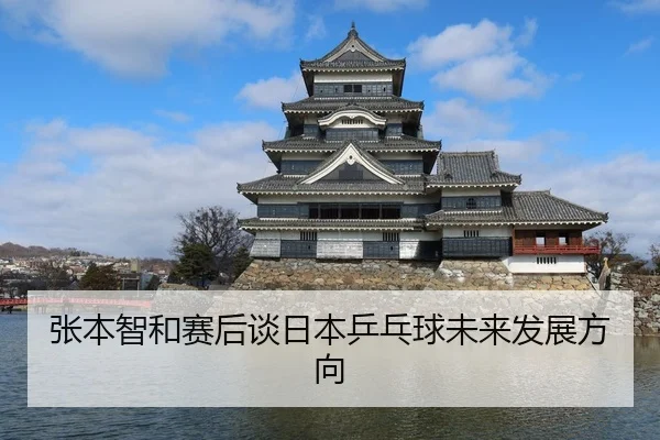 张本智和赛后谈日本乒乓球未来发展方向